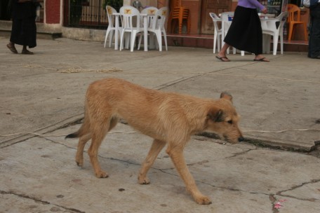 slideshow image